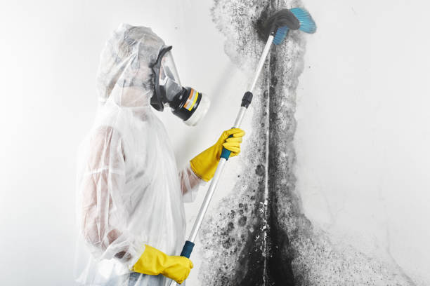 Best Air Quality Testing for Mold Spores  in Eminence, KY