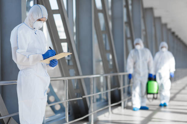 Best Attic Mold Removal  in Eminence, KY
