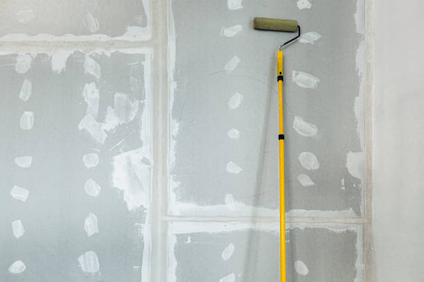 Best Mold Odor Removal Services  in Eminence, KY