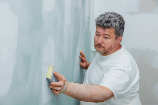 Best Black Mold Removal  in Eminence, KY