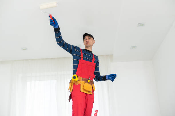 Professional Mold Removal in Eminence, KY