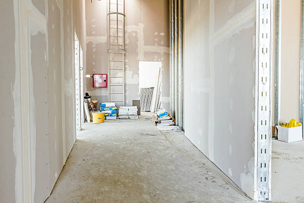 Best Water Damage & Mold Remediation  in Eminence, KY